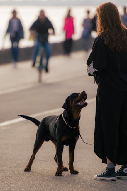 Dog bite law legal liability guide
